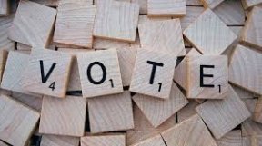 vote7.jpg